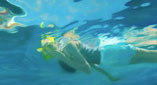 small swimmingWithFish1i